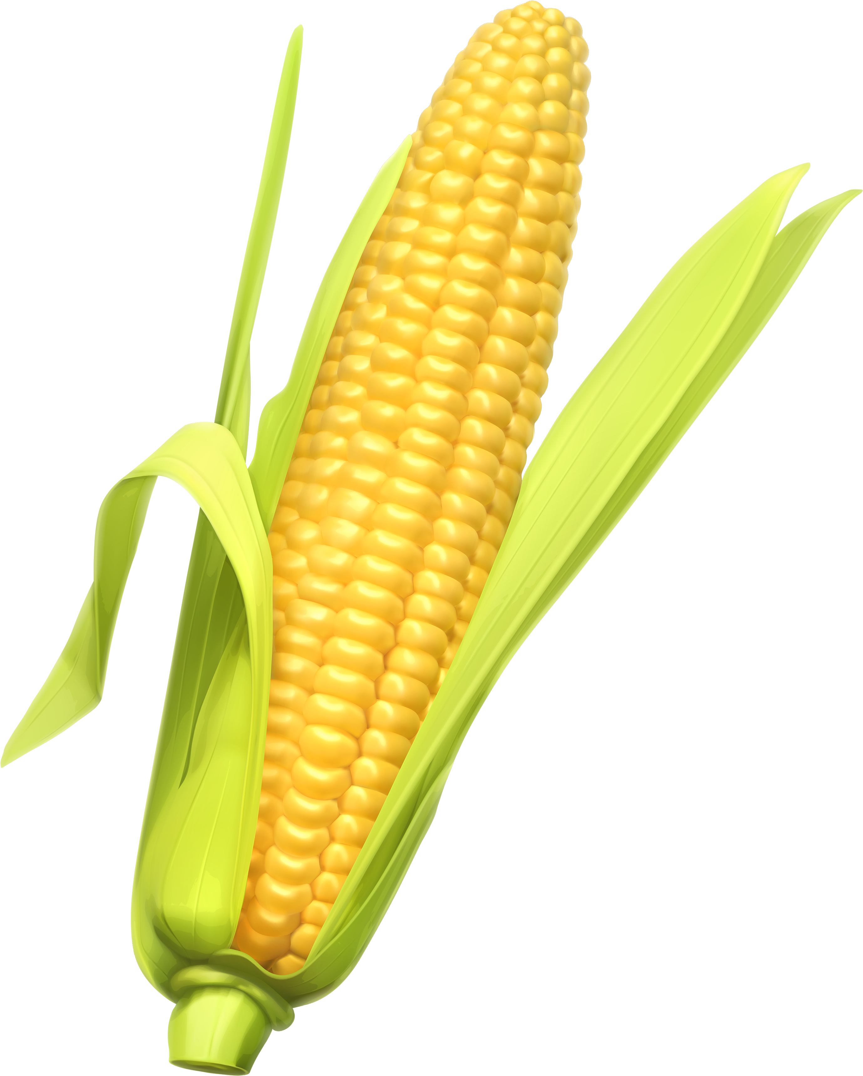 Corn Clipart Web - Corn Png (2863x3500)