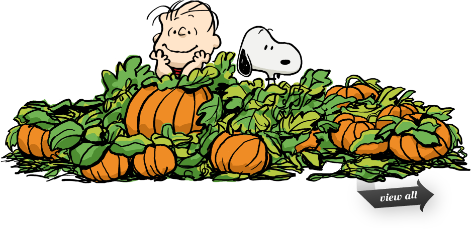 Charlie Brown Halloween Cliparts - Pumpkin Patch Charlie Brown (939x492)
