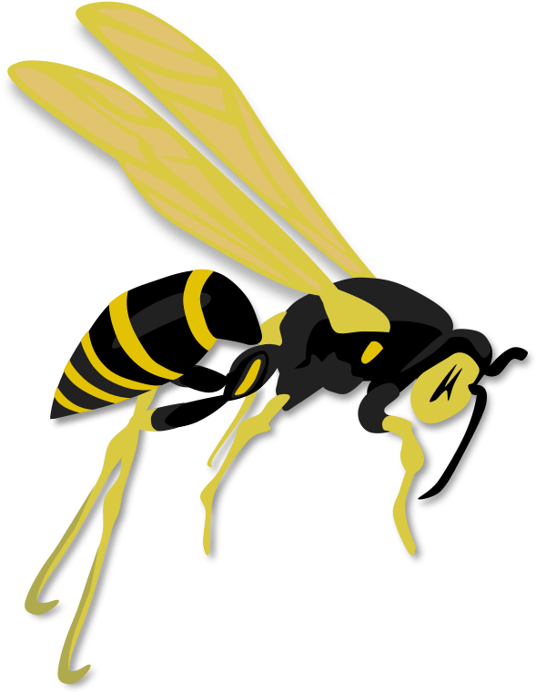 Flying Clip Art Download - Wasp Clipart (626x800)