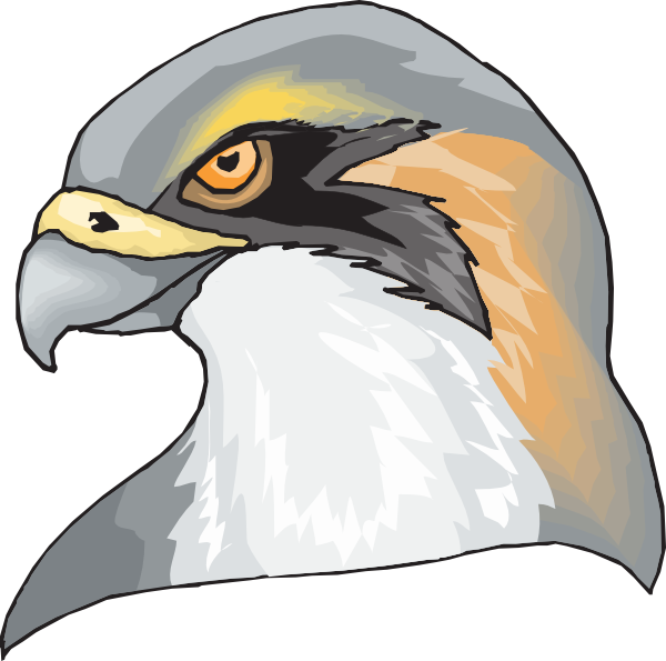 Hawk Head Clip Art At Clker Com Vector Online Royalty - Your Limit Beach Towel (1920x1904)