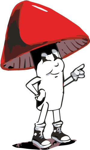 Shroomy, The Official Spokesperson Of Boston Iced Tea - Cartoon (512x512)