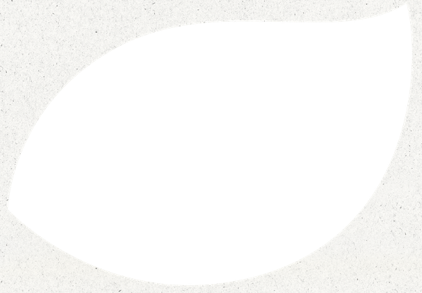 Black - Tea (607x422)