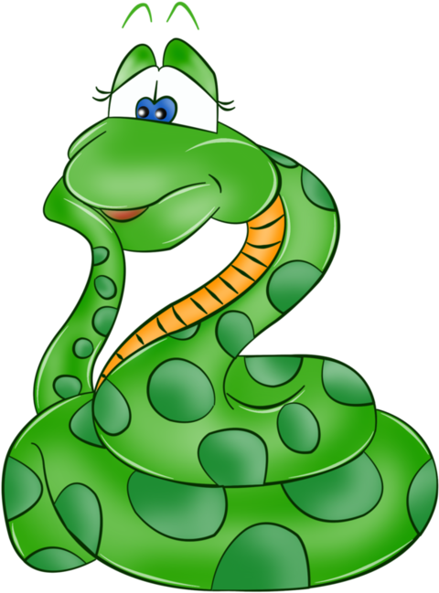 Free Snake Pictures Free Download Clip Art Free Clip - Begin With The Letter S (690x700)