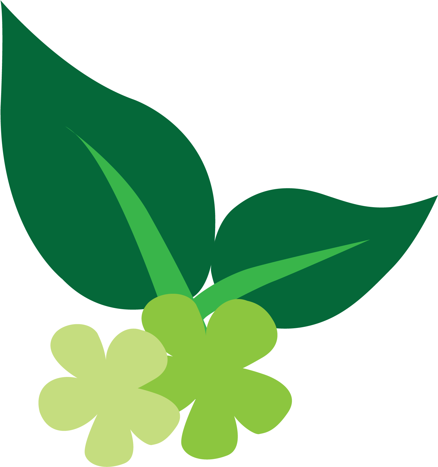 Key Natural Ingredients - Baby & Natural Ingredients (2480x1900)