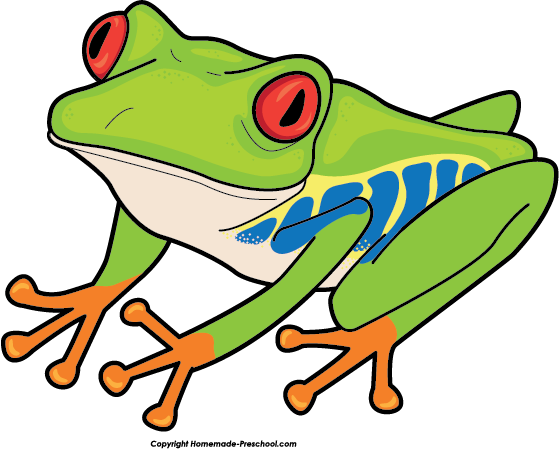 Free Frog Clipart - Red Eyed Tree Frog Clipart (559x449)