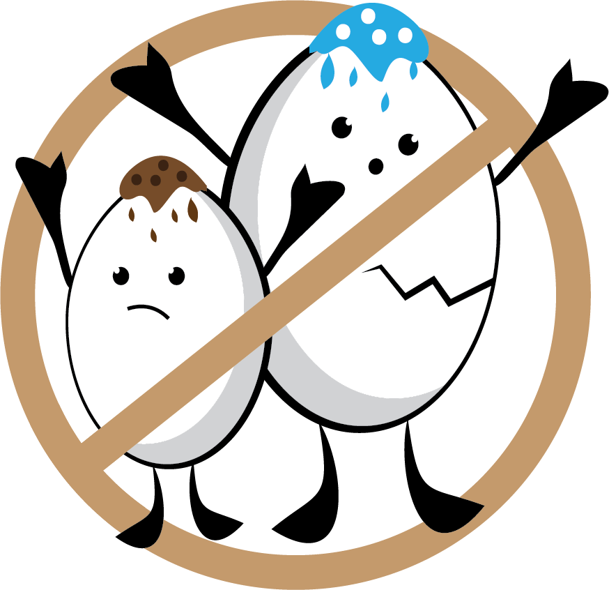 100% No Eggs - 100% No Eggs (874x846)