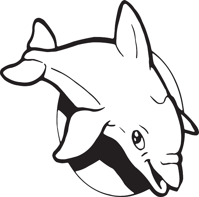 Dolphin Clipart, Suggestions For Dolphin Clipart, Download - Golfinho Sun De Florida Camiseta (640x633)