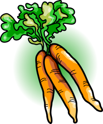 Carrot Clip Art - Bunch Of Carrots Clipart (333x400)