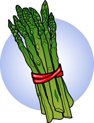 Asparagus Clip Art - Free Clip Art Asparagus (304x400)