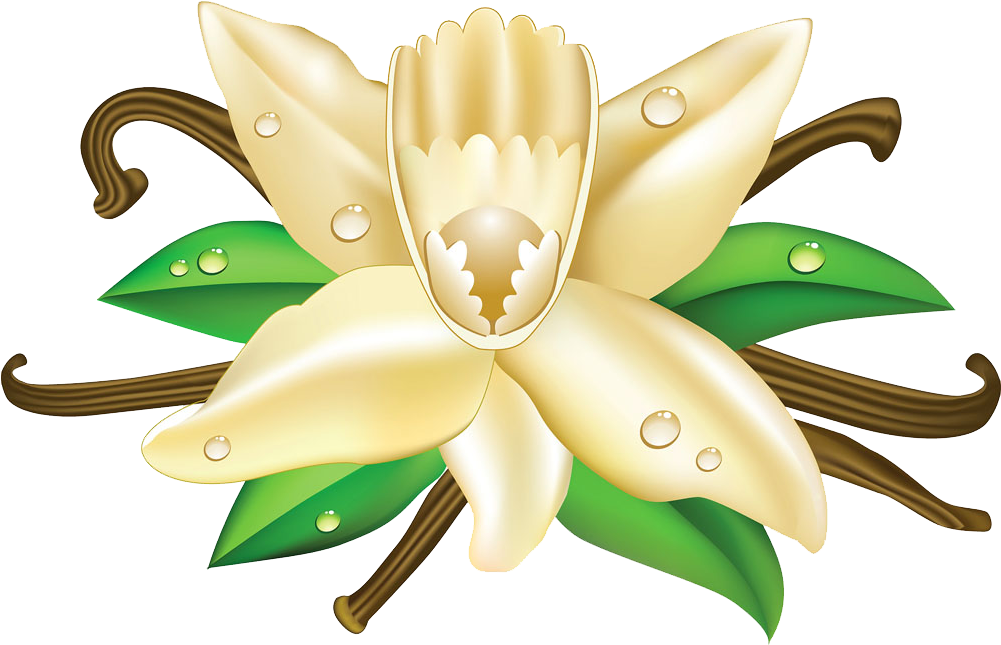 Ice Cream Cone Fudge Vanilla Clip Art - Ice Cream Cone Fudge Vanilla Clip Art (1000x908)