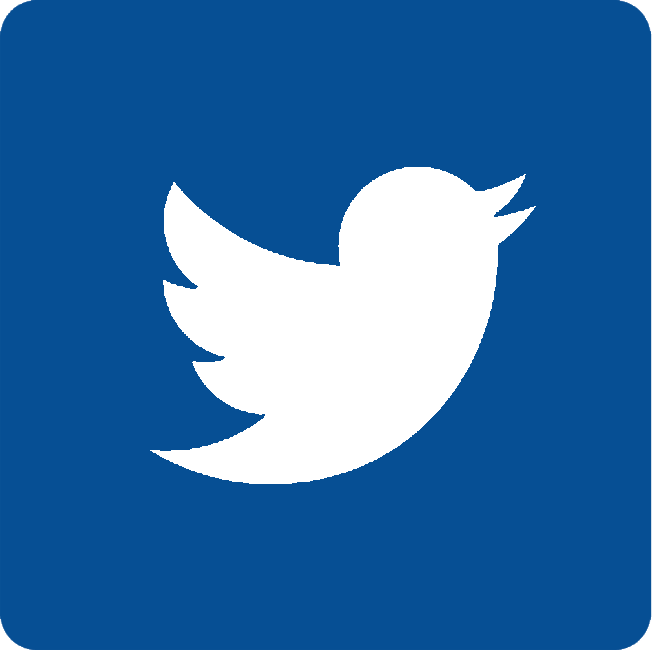 Social Media Twitter (652x650)