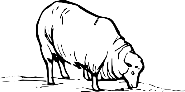 Sheep Clip Art (594x297)