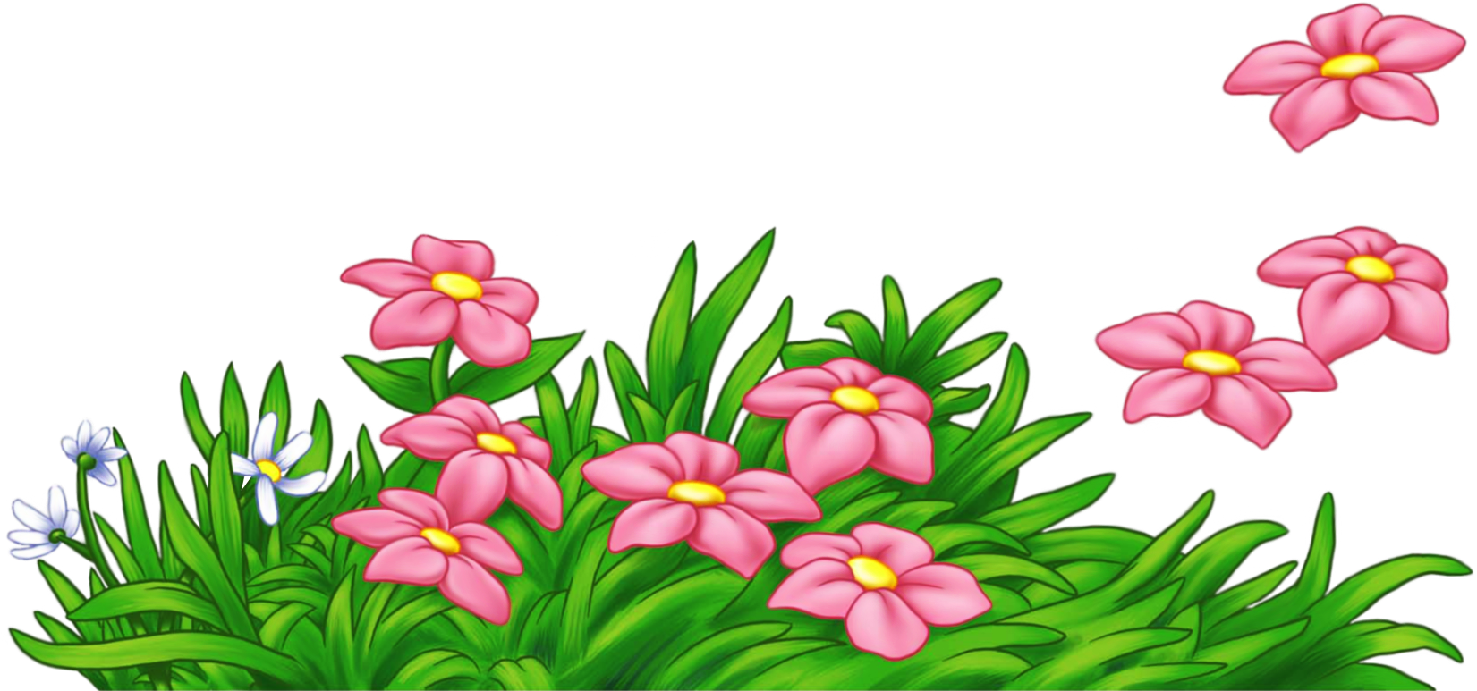 African Grass Images - Flower Png Clipart (1740x846)