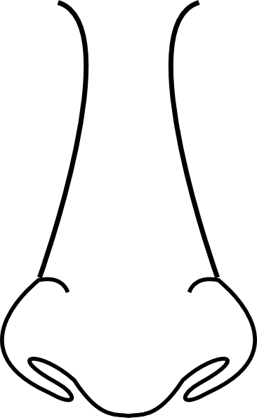 Image Result For Clip Art Nose Black And White - Outline Of Nose (366x595)