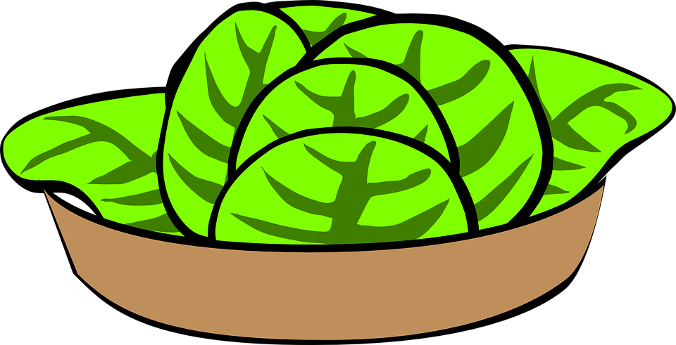 Salad Clipart Lettuce - Cartoon Salad Bowl (960x491)