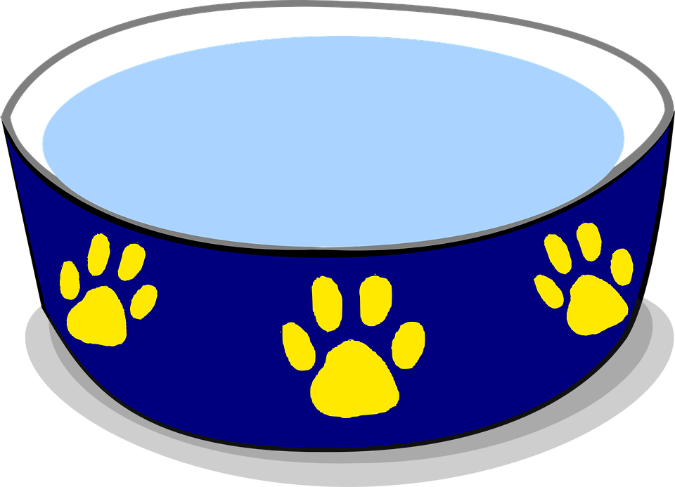 How To Set Use Dog Water Bowl Svg Vector - Dog Water Clipart (960x693)