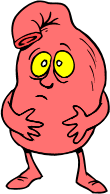 Free Teenager Cliparts, Download Free Clip Art, Free - Stomach (792x612)