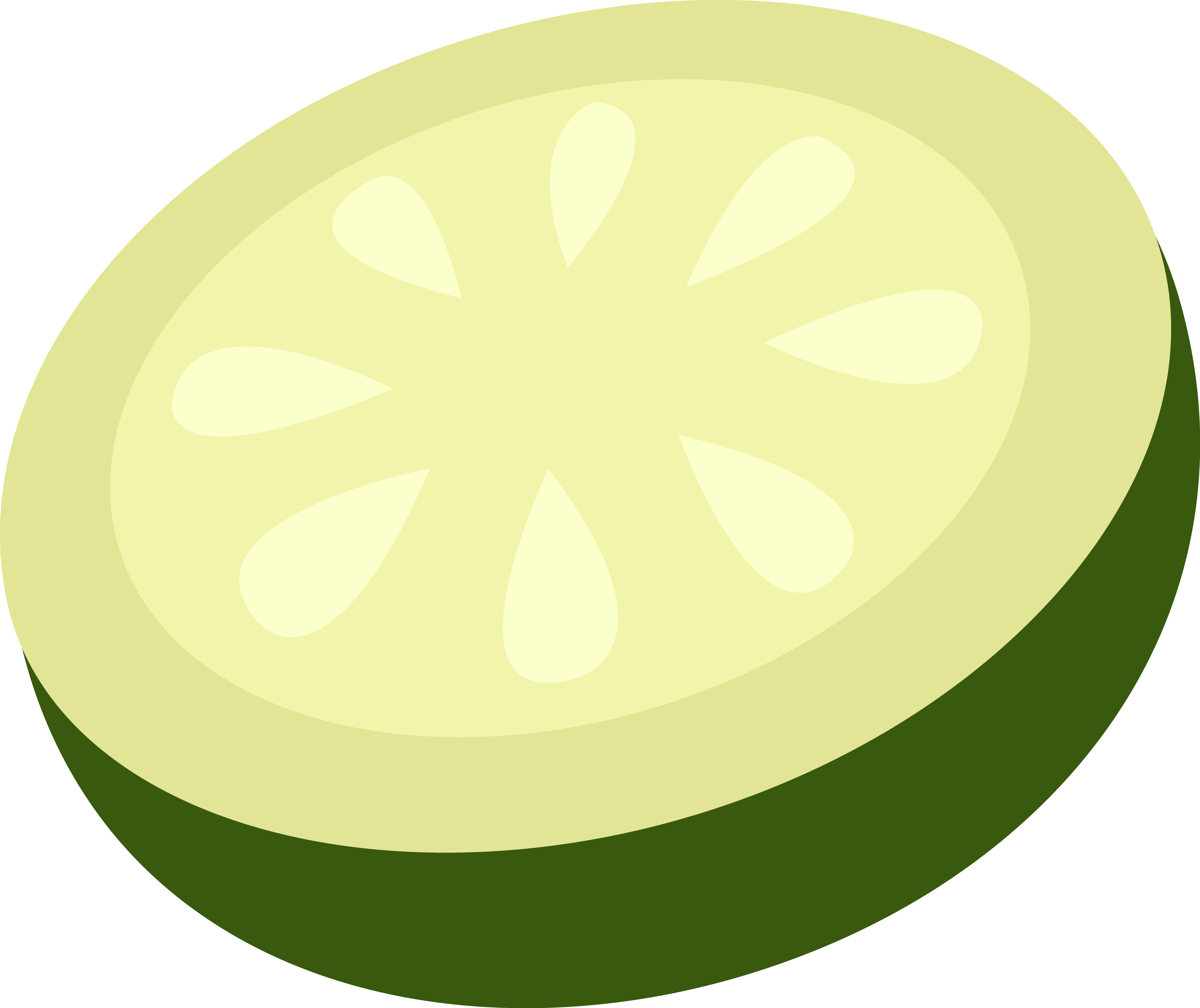 Cucumber Slice Vector Art - Cucumber Slice Clipart (4237x3560)