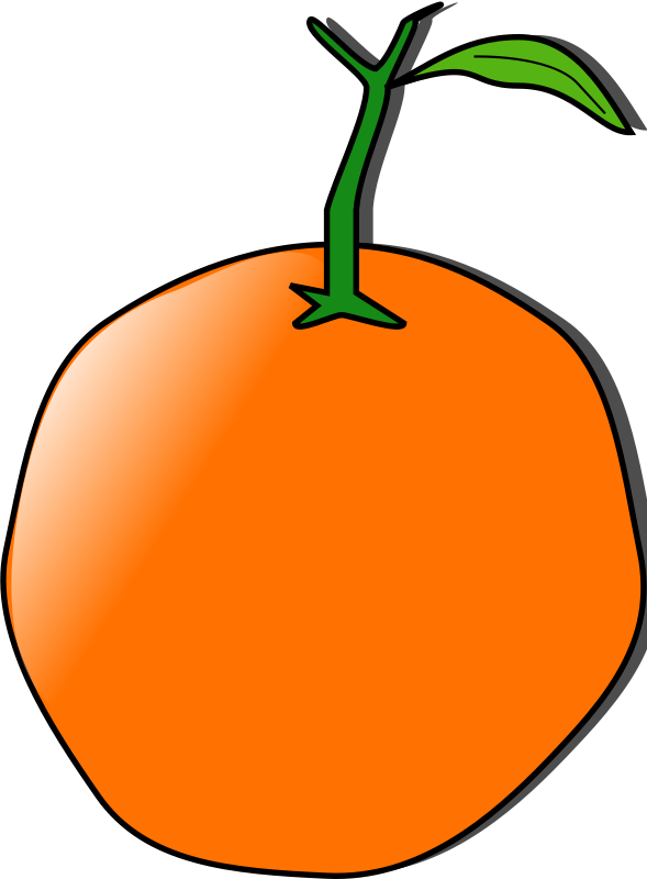 Free Vector Orange Clip Art - Custom Orange Shower Curtain (589x800)