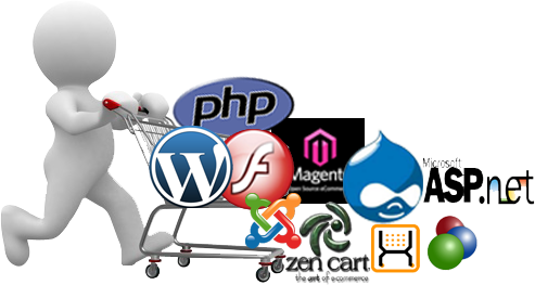 Web Development - Build A Website Using Wordpress (493x263)