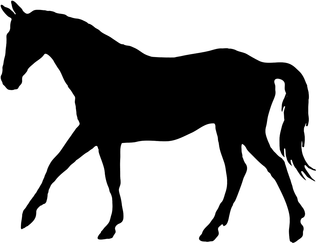 1000 Ideas About Horse Silhouette On Pinterest - Horse Silhouette Png (1063x844)