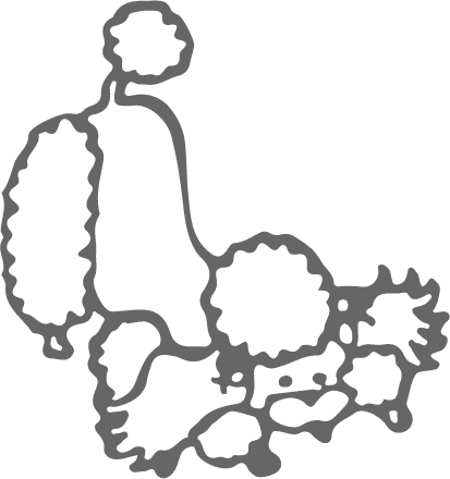 Dee's Dog Grooming, Llc - Dee's Dog Grooming (413x440)