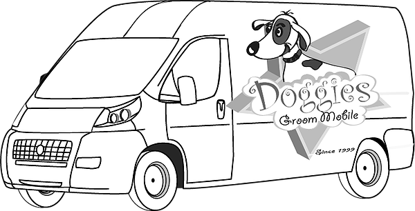 Contact For Grooming Service In Miami-dade - Vehicle (600x306)