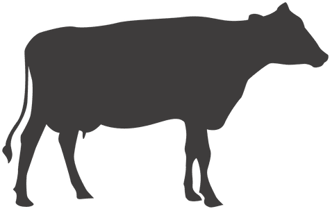 Cow Silhouette Vector - Cow Мусещк (512x512)
