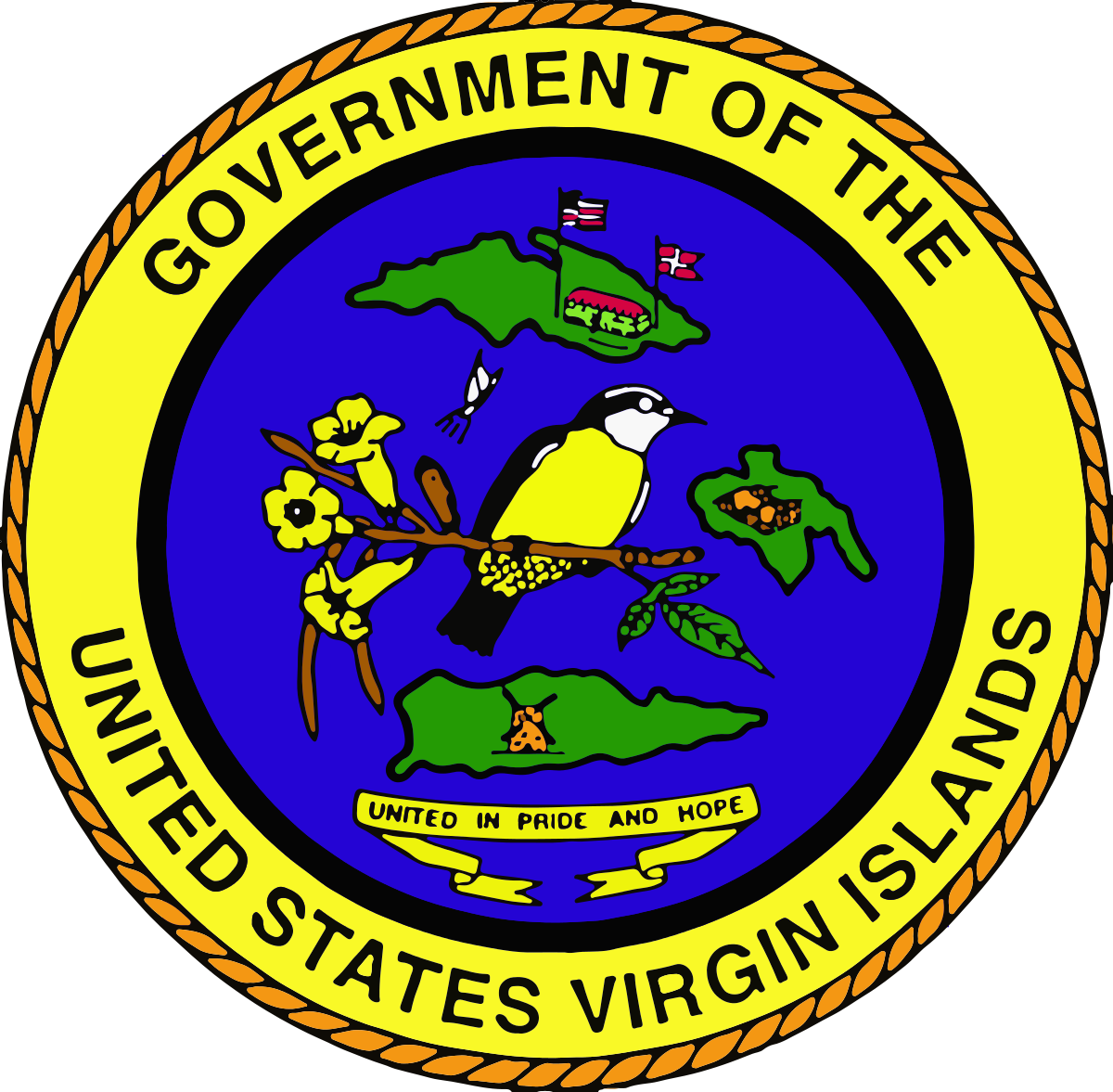 United States Virgin Islands - Public Health Service Logo (800x784)
