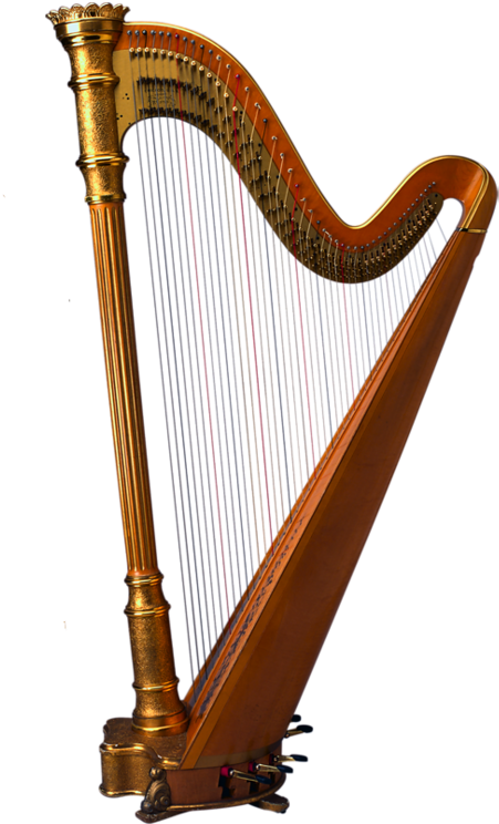 Harpa - Harpe Png (570x800)