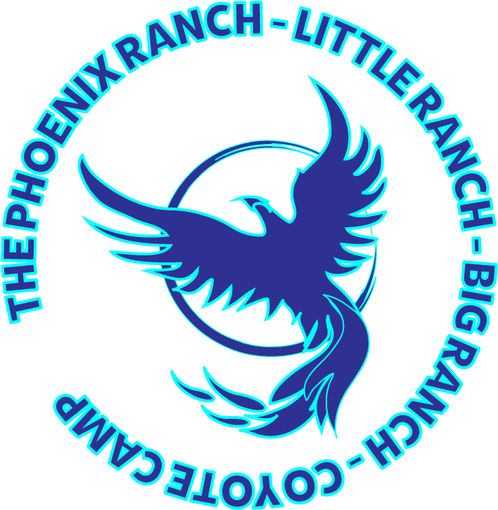 With Over 35 Years Serving Our Community, The Phoenix - Summer Camp (730x745)