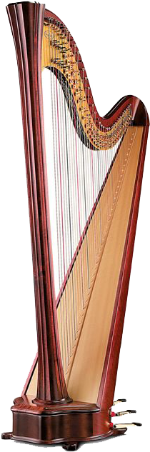 Harp Png Background Clipart - Salvi Harps (600x750)