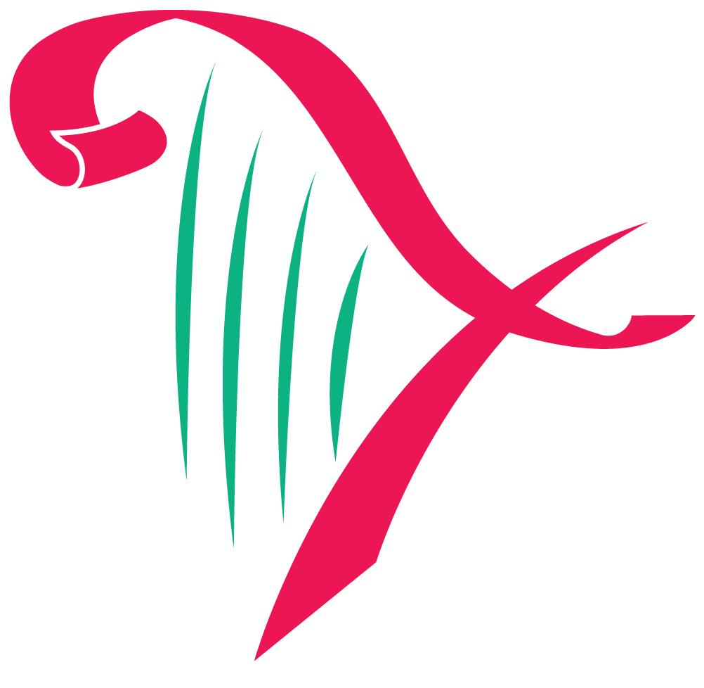 2017 Wales Harp Festival - Gear (1083x1020)