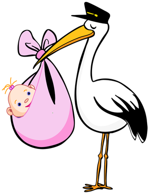I Have Started A New Blog That Will Follow More Closely - Cartoon Stork (318x400)