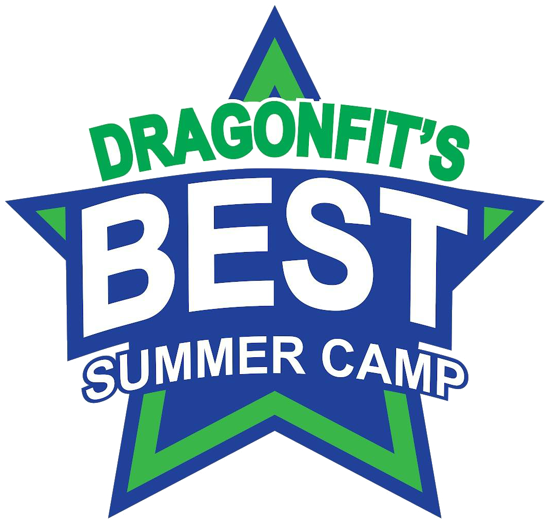 Dragonfits Best Summer Camp - Rede Smart (1209x1070)