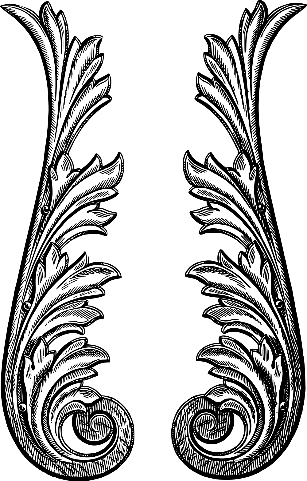 Download 5 Royalty Free Vintage Flourish Stock Art - Illustration (1000x1563)