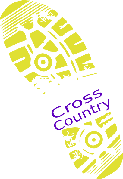 Cross Country Running Shoe (408x595)