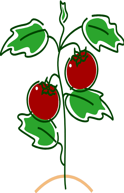 And By The Time The Tomato Was In The House It Was - Swedesboro (475x740)