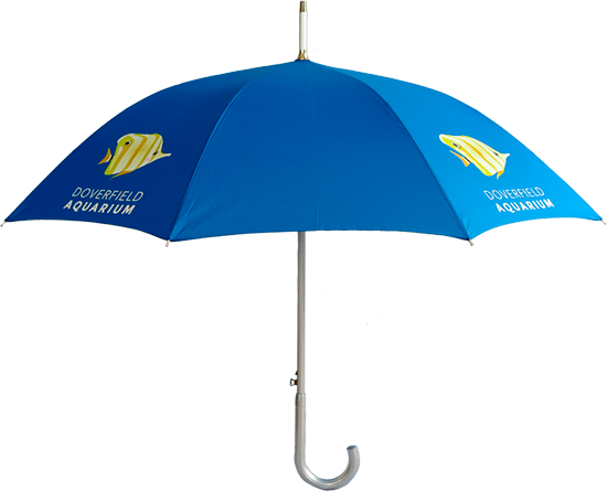 Ali Walker Product Banner Image - Product (550x445)