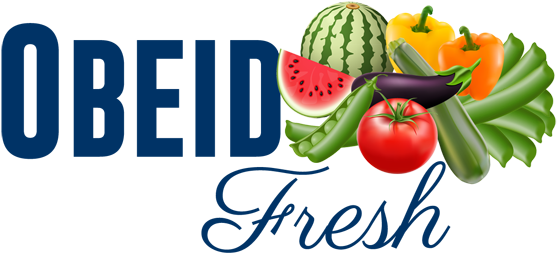 Wallpops Dwpq2438 Lights Camera Fashion Wall Quote (600x277)