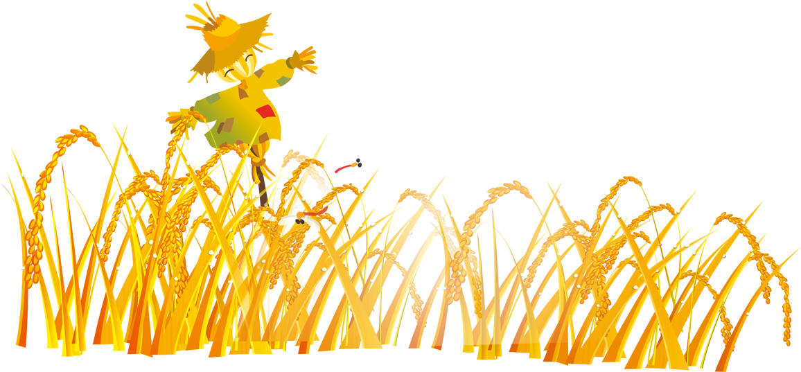 Graphic Design Cartoon - ไร่ ข้าว สาลี การ์ตูน (1181x1181)