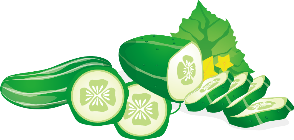 Cucumber Vegetable Euclidean Vector Fruit - Vector Graphics (985x471)