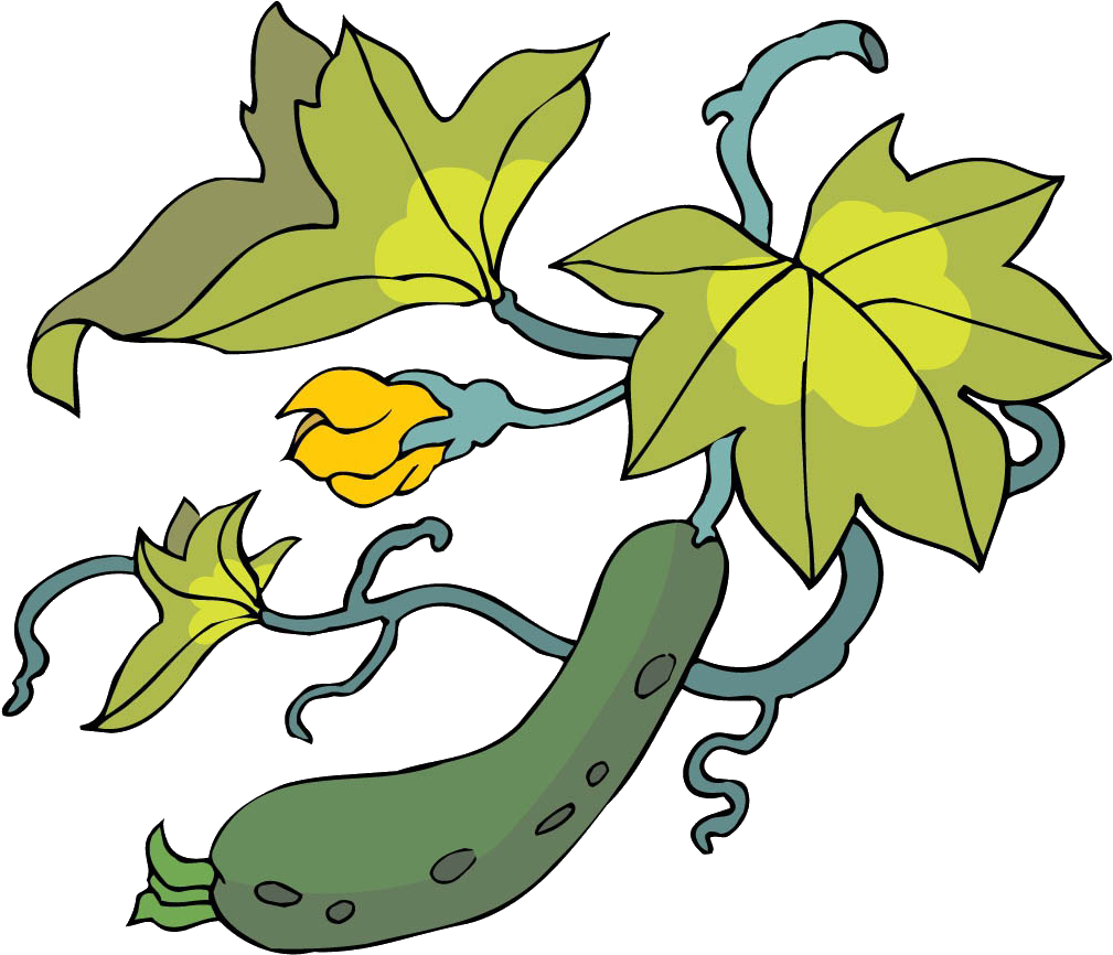 Cucumber Painting Vegetable - Cucumber Painting Vegetable (1309x1250)