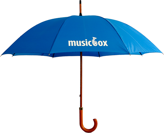 Budget Woodstick Product Banner Image - Guarda Chuva Azul (550x445)