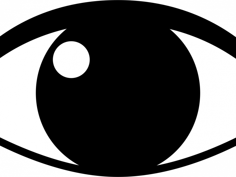 Download Beauteous Eyeball Images Clip Art - Download Beauteous Eyeball Images Clip Art (800x600)