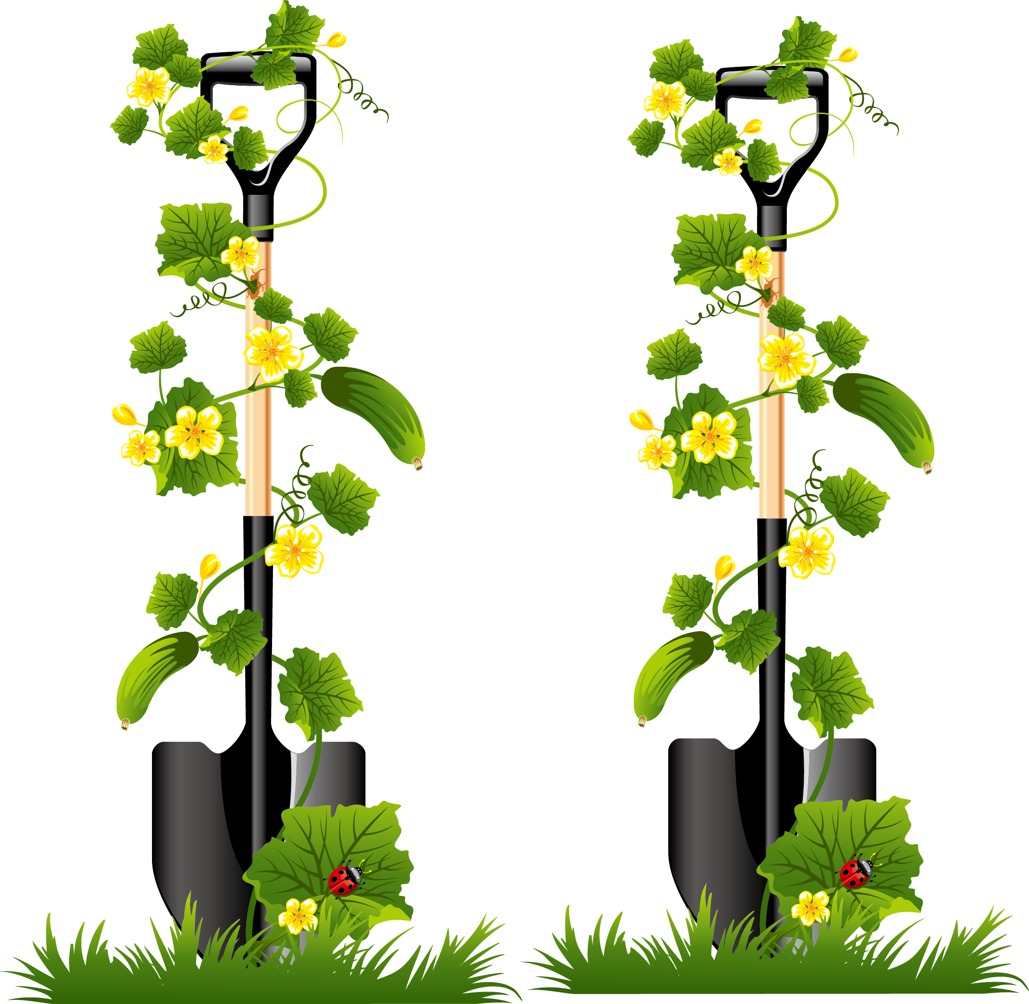 Pickled Cucumber Vegetable Euclidean Vector - Cucumber Tree Clip Part (2065x2015)