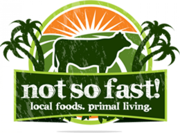 The “not So Fast ” Food Truck Is Coming To Invictus - Party In The Usa Lyrics (600x443)