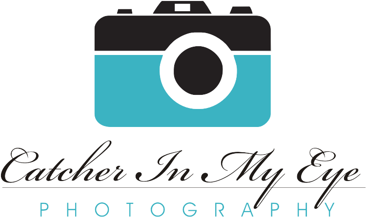 Elegant, Playful, Media Graphic Design For Catcher - Clip Art (856x566)