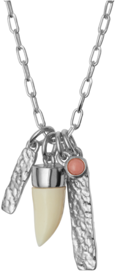 Collect Necklace - Necklace (610x610)