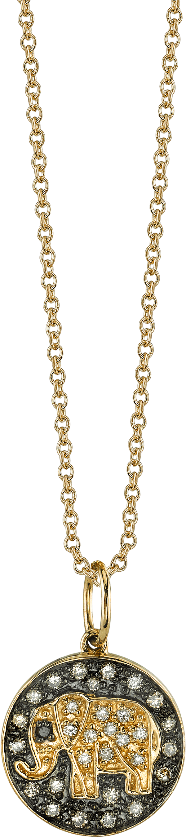 Small Elephant Medallion Charm Necklace - Necklace (2250x3000)